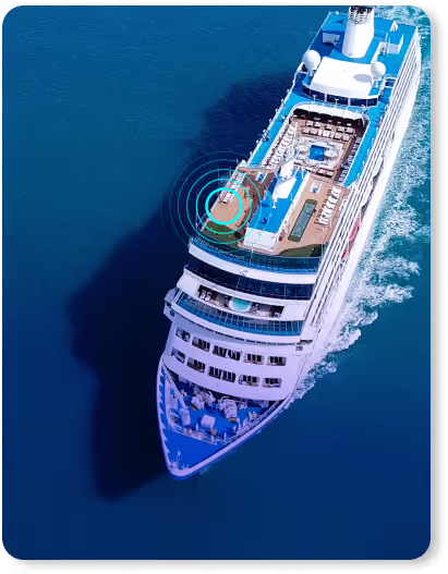 Cruise card
